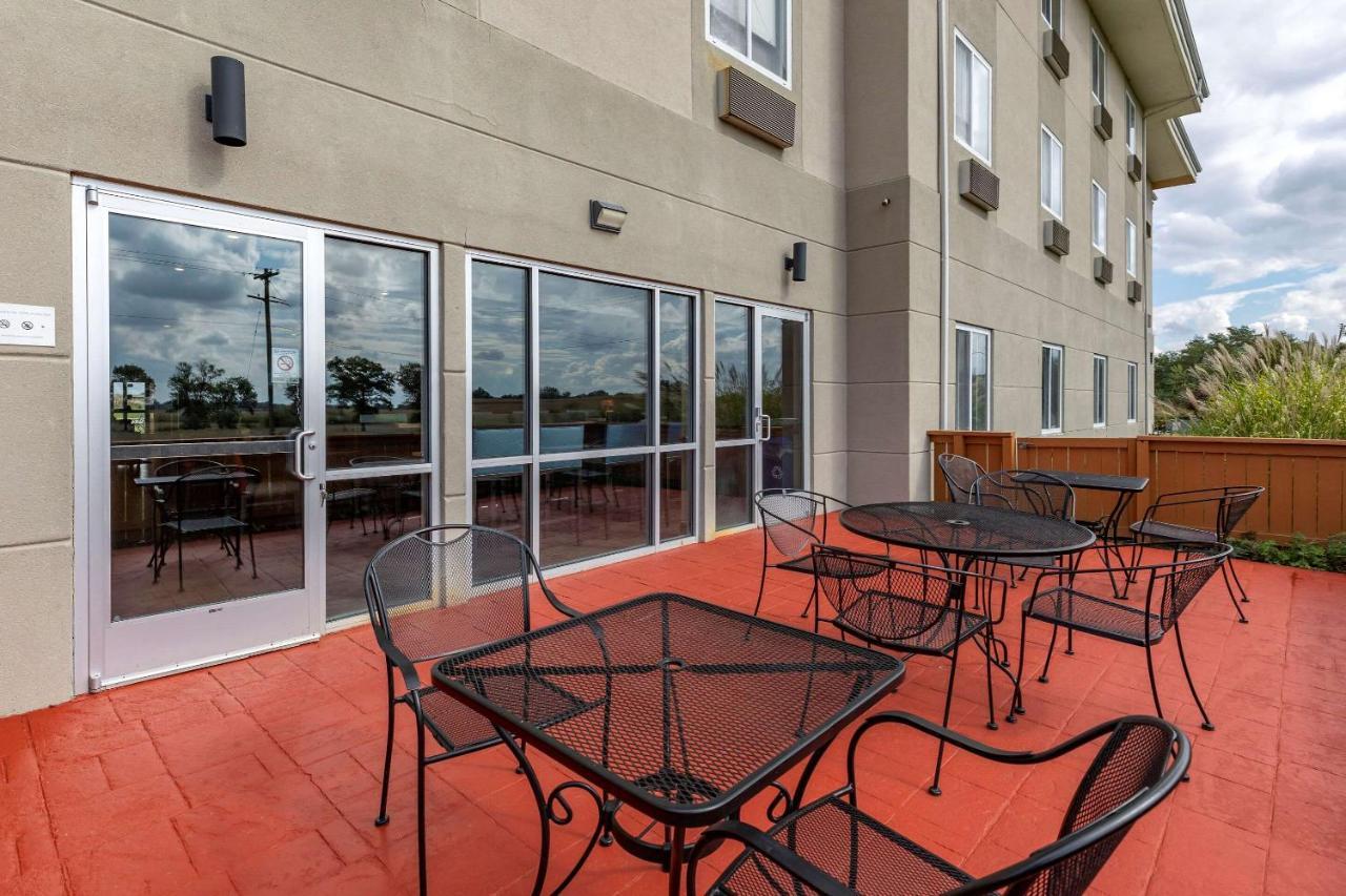 Comfort Inn & Suites Greenville Exterior foto